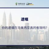 ni-de-yi-zhu-zai-ma-lai-xi-ya-zhen-de-you-xiao-ma